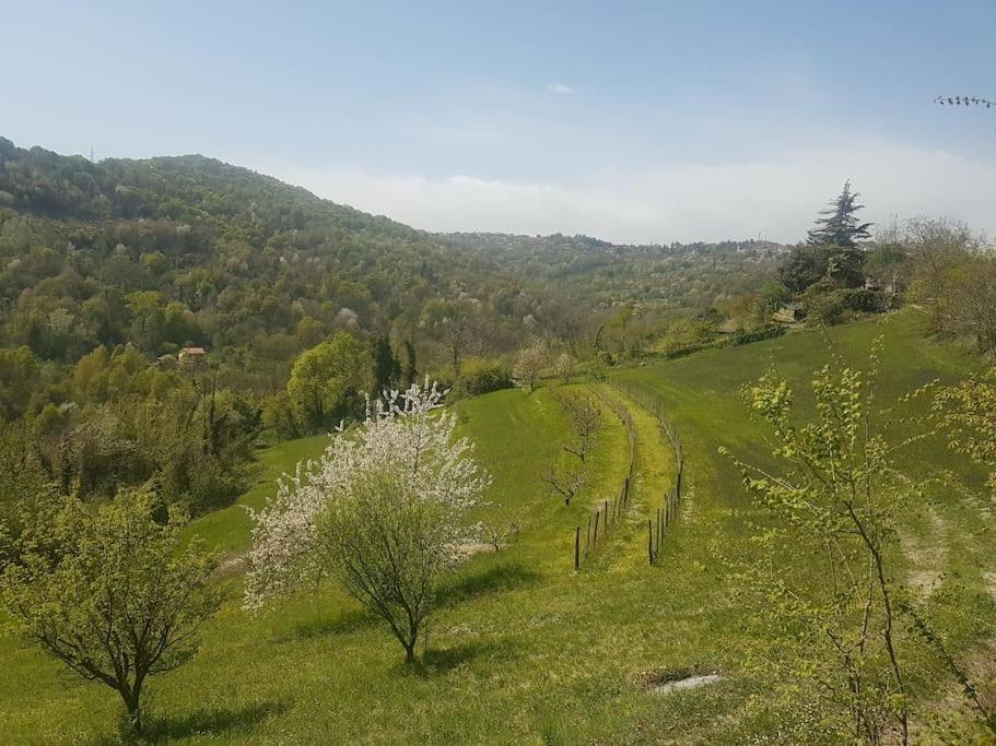 Casa Vacanza Mattirolo - Castagneto Po Eksteriør billede